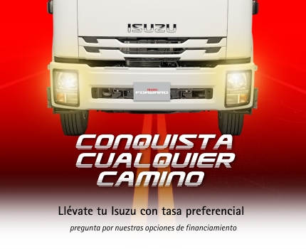 Banner linea ELF